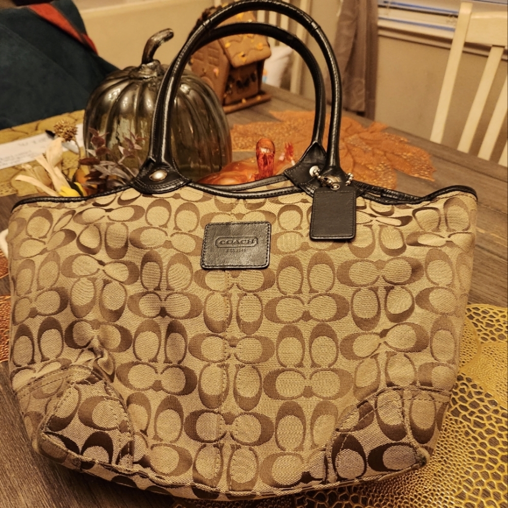 Brown Coach Purse